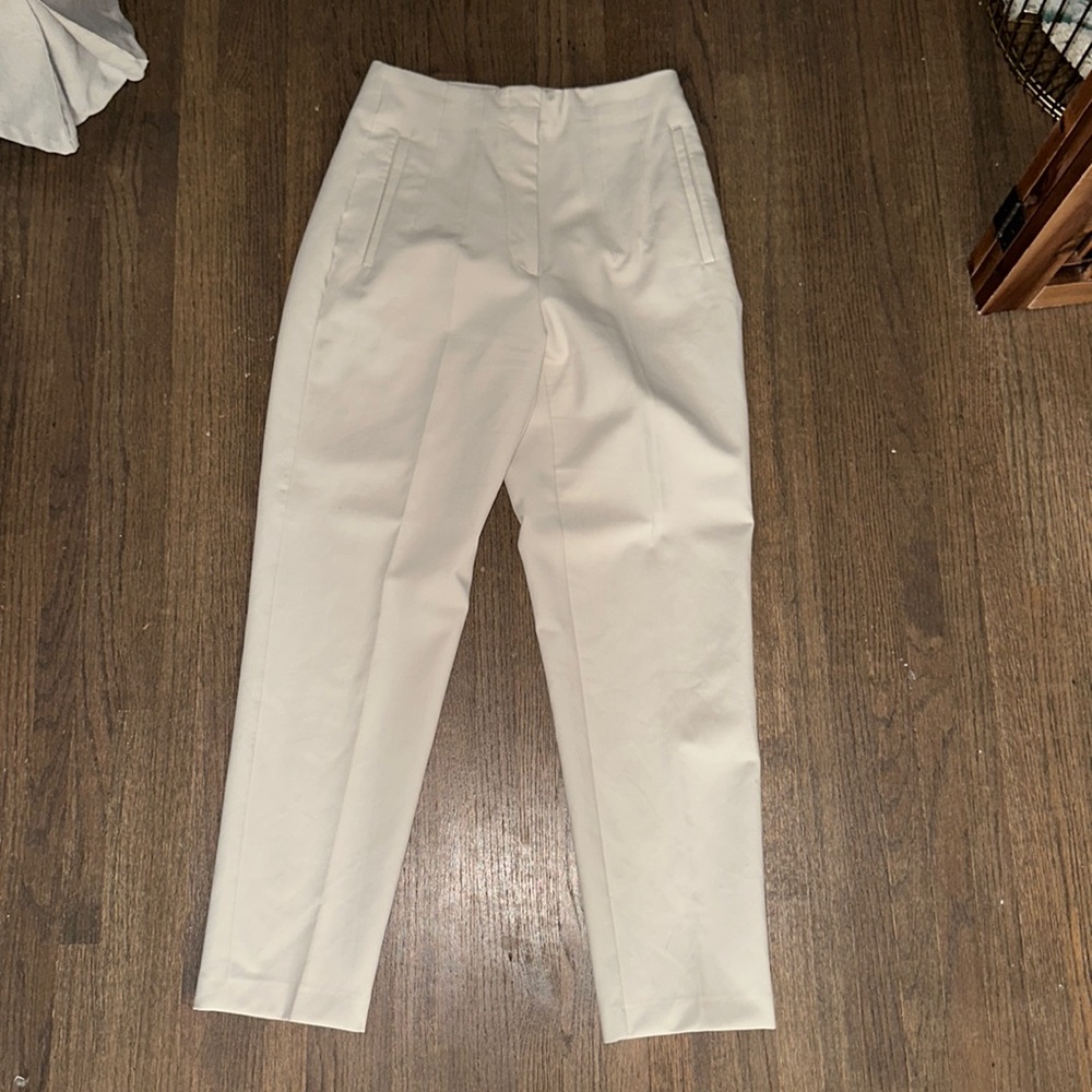 Zara High Waisted Pants